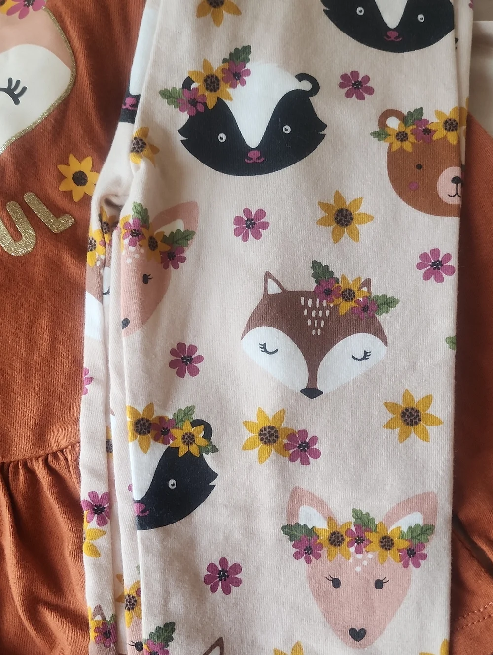 Sz 4T The Children's Place Thankful Rust Top & Woodland Creature Leggings